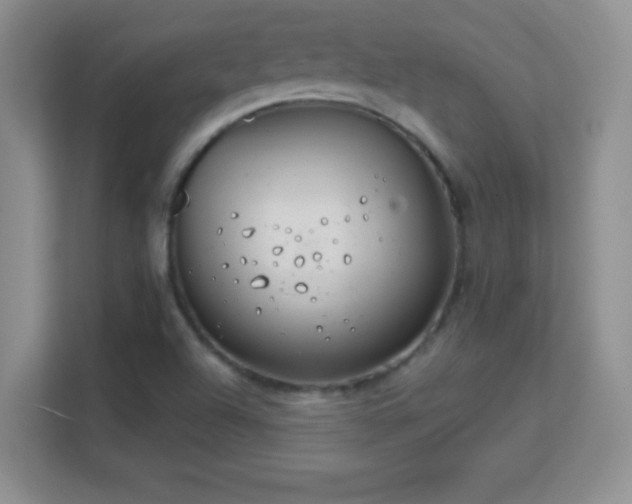 X0000113181504200909111044