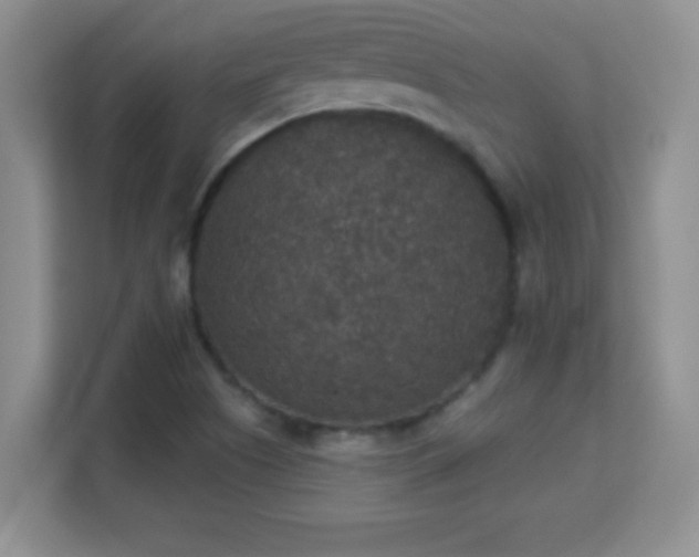 X0000113181505200909111044