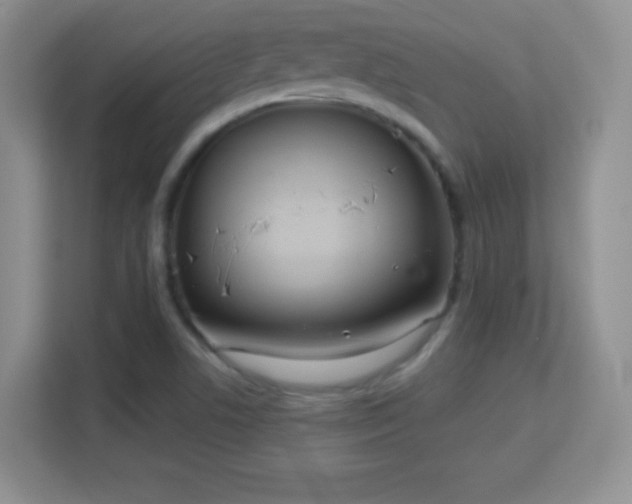 X0000113181506200909111044