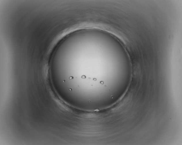 X0000113181507200909111044
