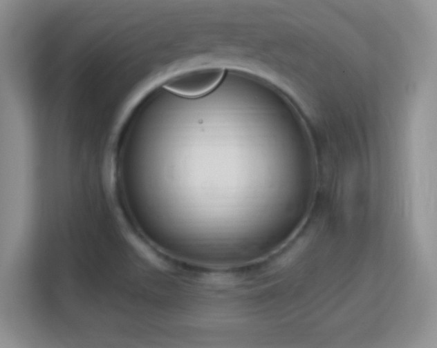 X0000113181511200909111044