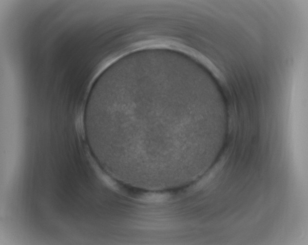 X0000113181513200909111044