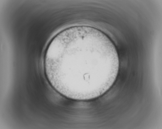 X0000113181514200909111044