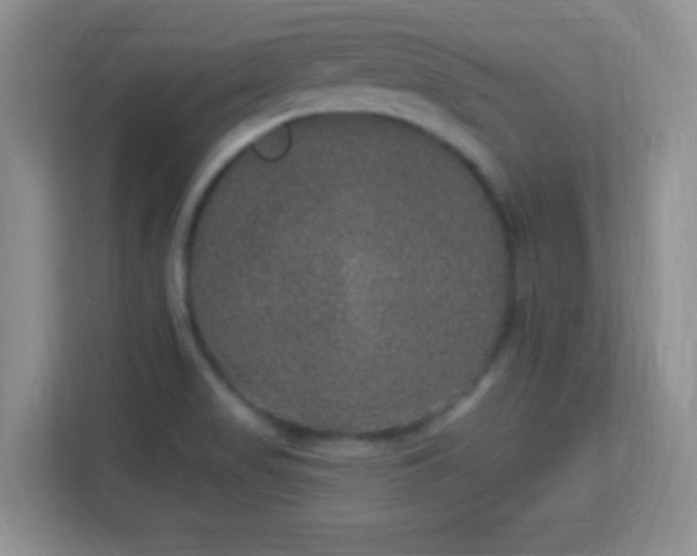 X0000113181517200909111044
