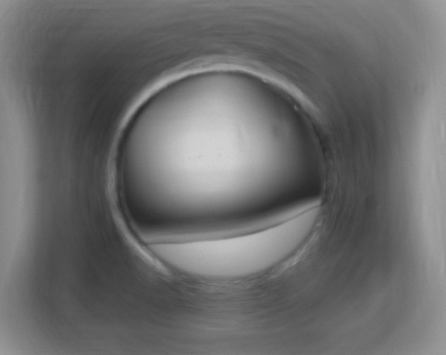 X0000113181518200909111044