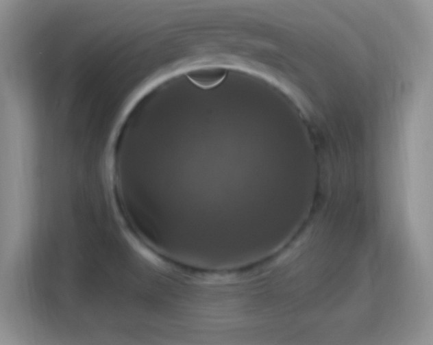 X0000113181519200909111044
