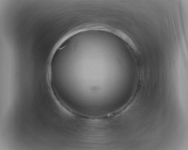 X0000113181520200909111044