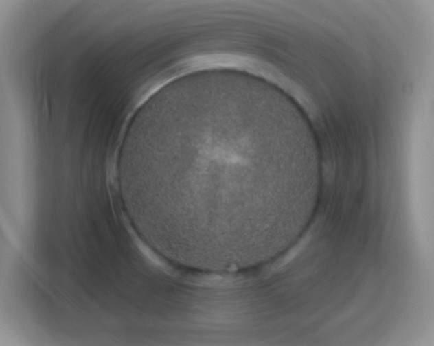 X0000113181521200909111044