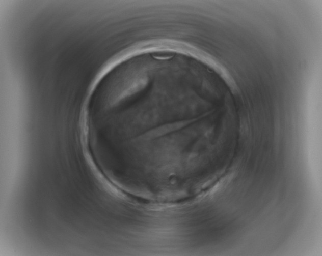X0000113181522200909111044