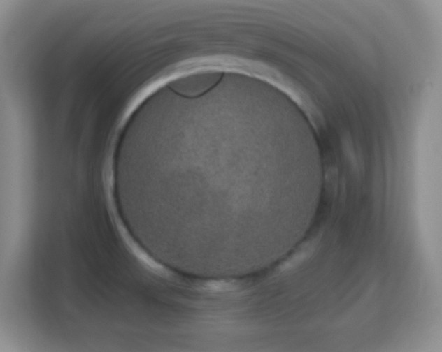 X0000113181523200909111044