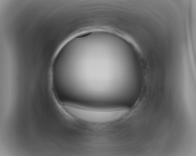 X0000113181524200909111044