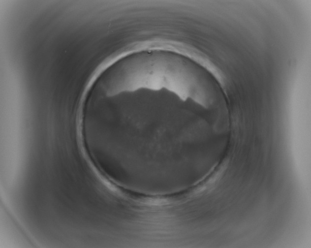 X0000113181525200909111044