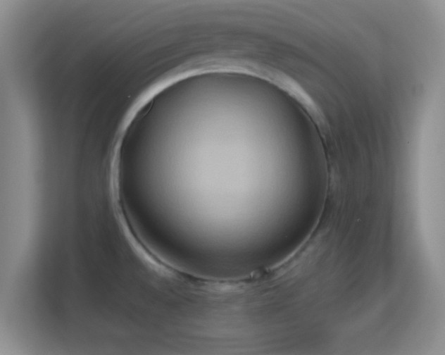 X0000113181528200909111044