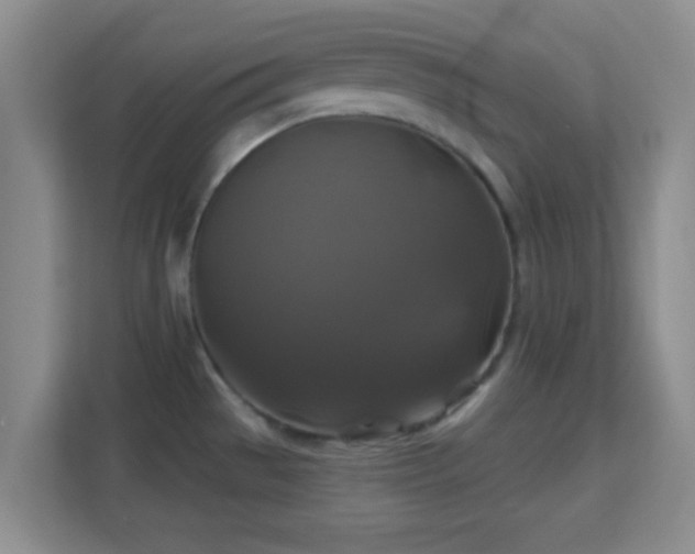 X0000113181529200909111044