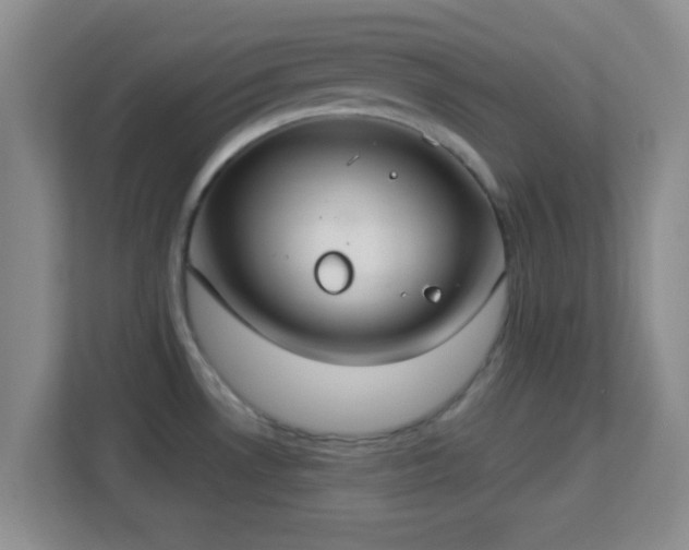 X0000113181530200909111044