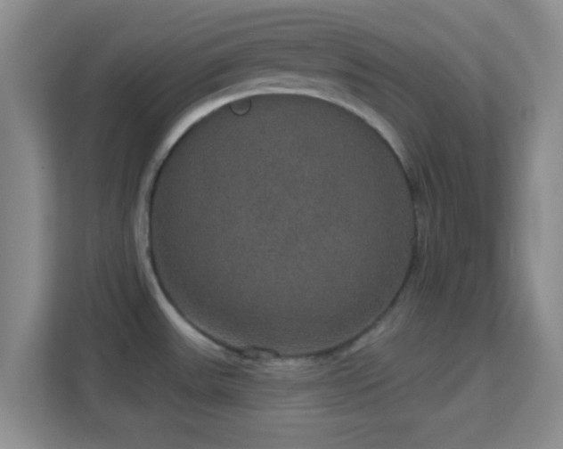 X0000113181531200909111044