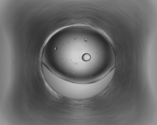 X0000113181532200909111044