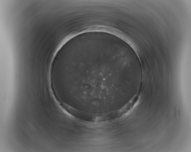 X0000113181533200909111044