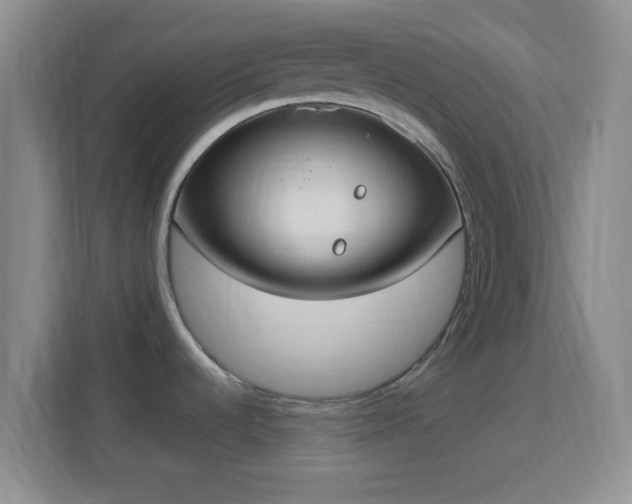 X0000113181536200909111044