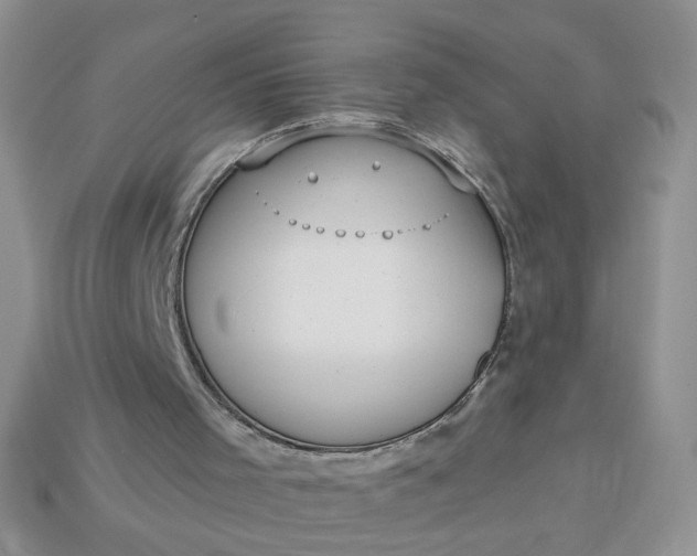 X0000113180001200909181903