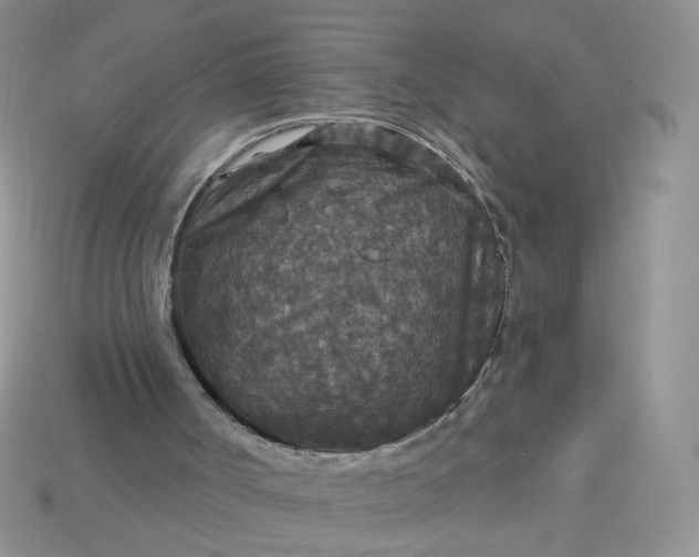 X0000113180002200909181903