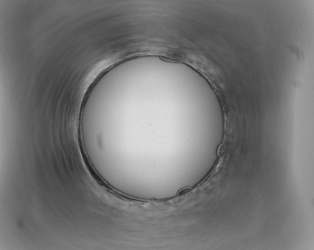 X0000113180003200909181903