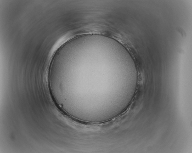 X0000113180004200909181903