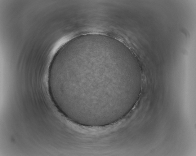 X0000113180006200909181903