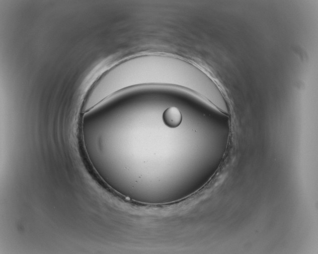 X0000113180007200909181903