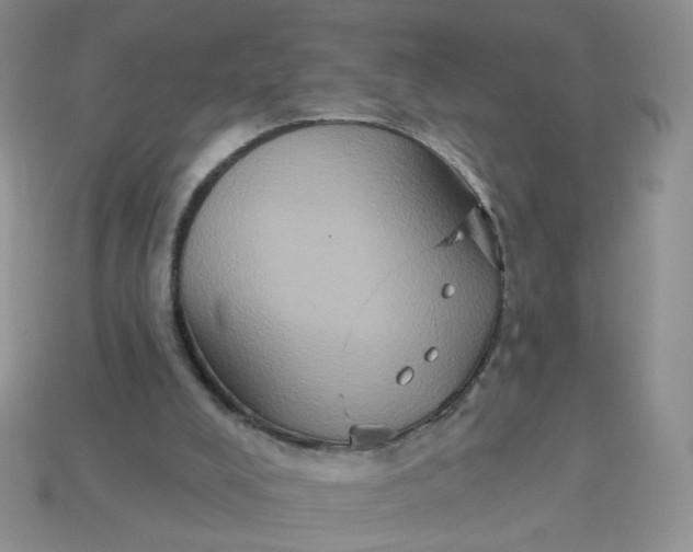 X0000113180008200909181903