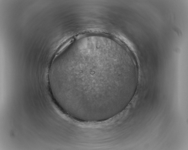 X0000113180009200909181903