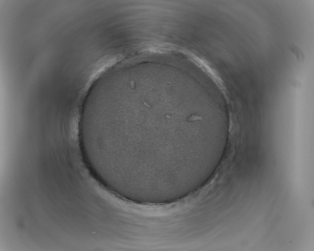 X0000113180010200909181903