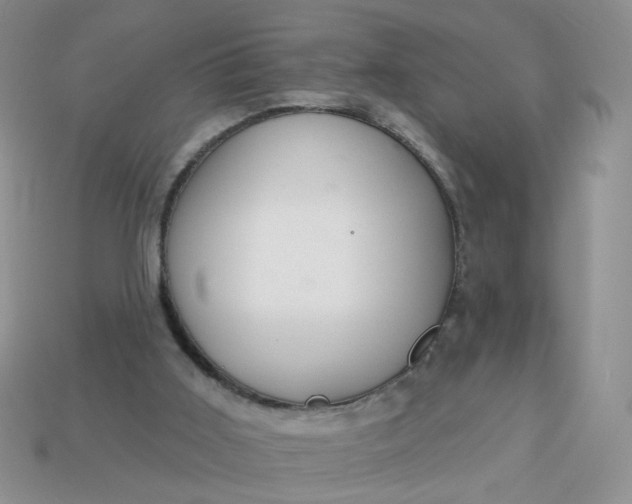 X0000113180011200909181903