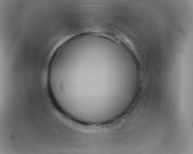 X0000113180012200909181903