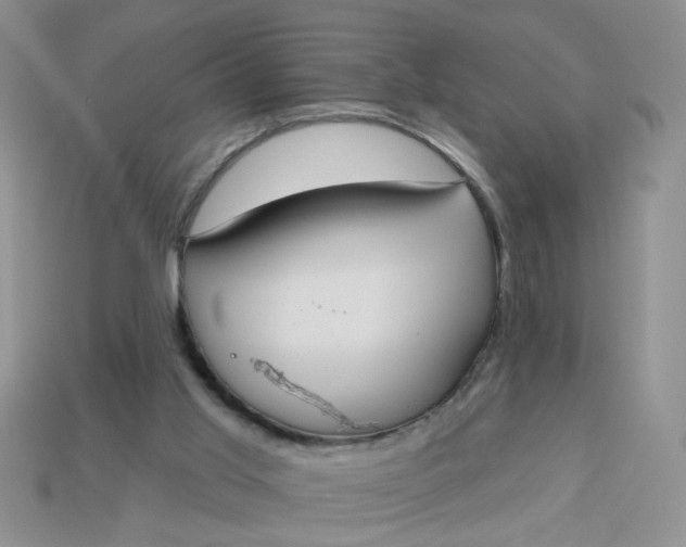 X0000113180013200909181903