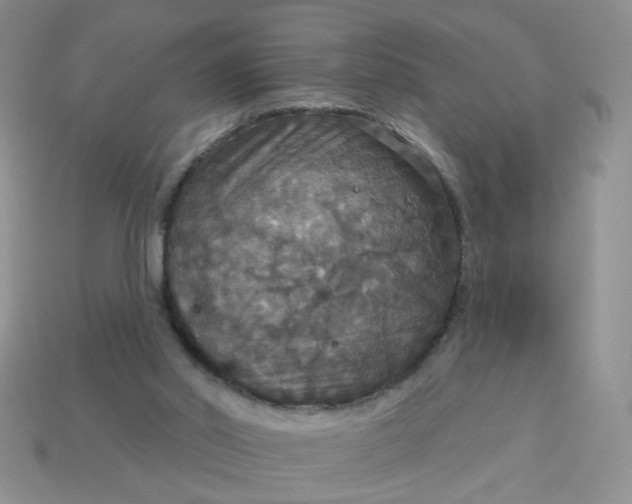 X0000113180014200909181903