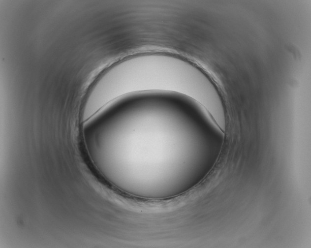 X0000113180015200909181903