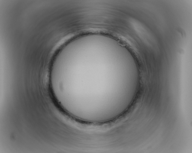 X0000113180016200909181903