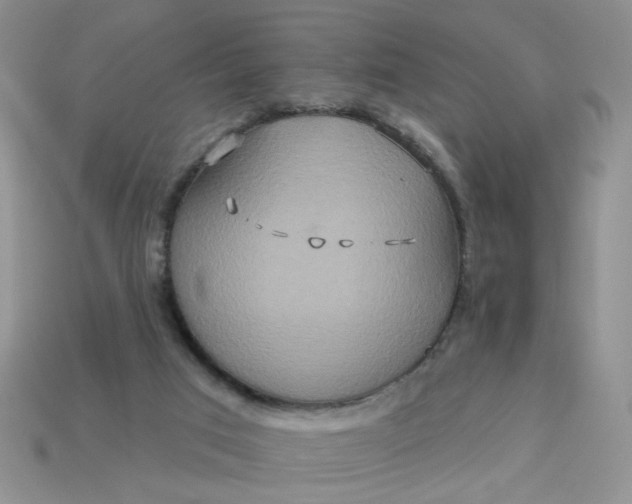 X0000113180017200909181903