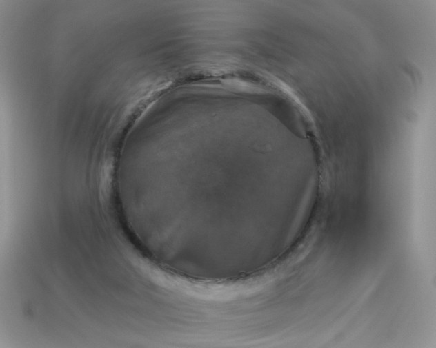 X0000113180018200909181903