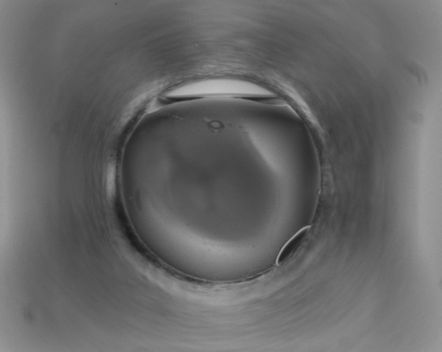 X0000113180019200909181903