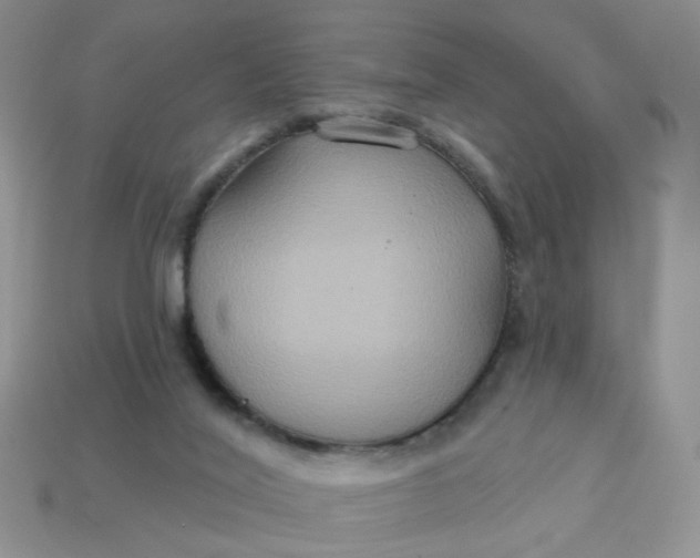 X0000113180020200909181903