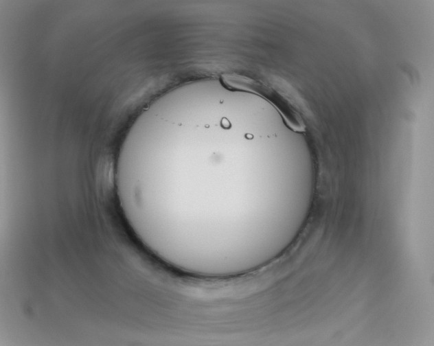 X0000113180021200909181903