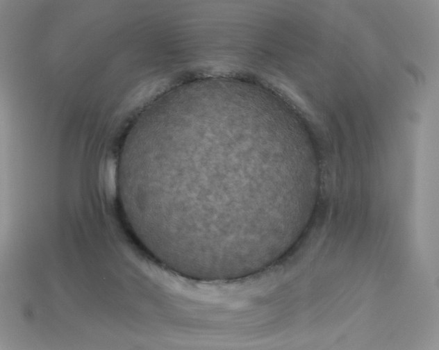 X0000113180022200909181903