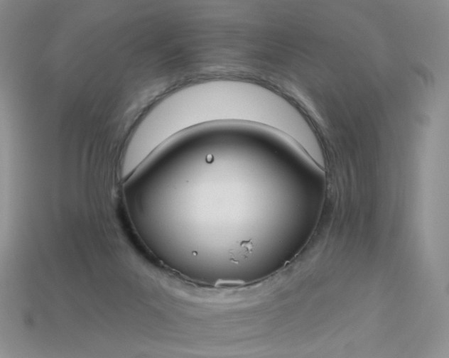 X0000113180023200909181903