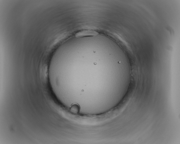 X0000113180024200909181903