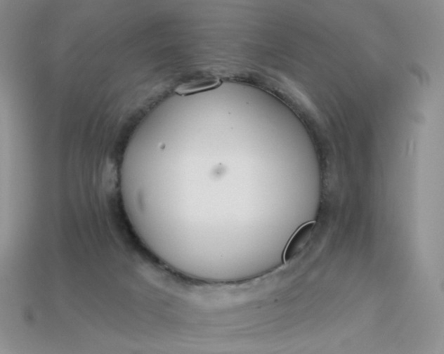 X0000113180025200909181903