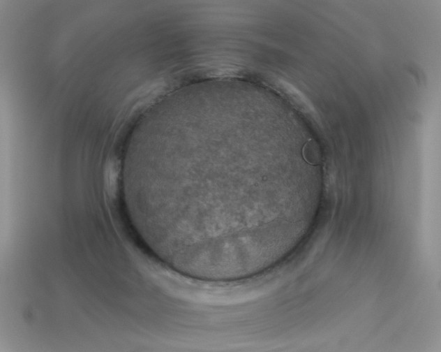 X0000113180026200909181903