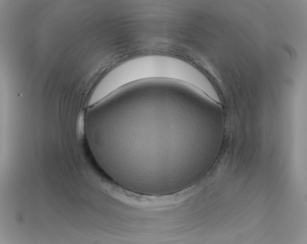 X0000113180027200909181903