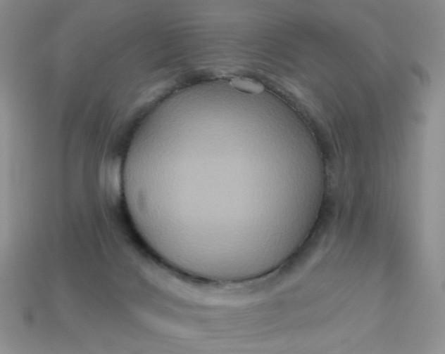 X0000113180028200909181903